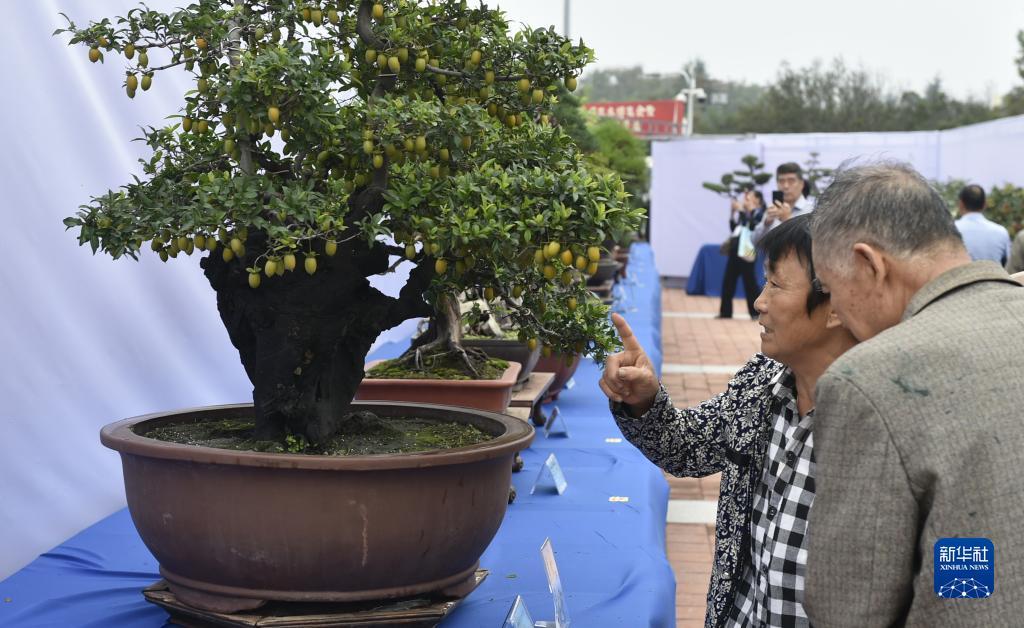 永利唯一官网